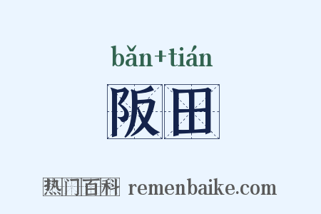 阪田是什么意思的图片